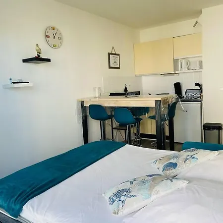 La Vie En Bleu/arcachon/parking Privé Appartement Arcachon