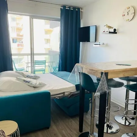 La Vie En Bleu/arcachon/parking Prive Apartment *