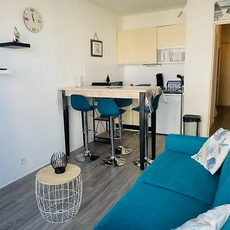 La Vie En Bleu/arcachon/parking Prive Apartment